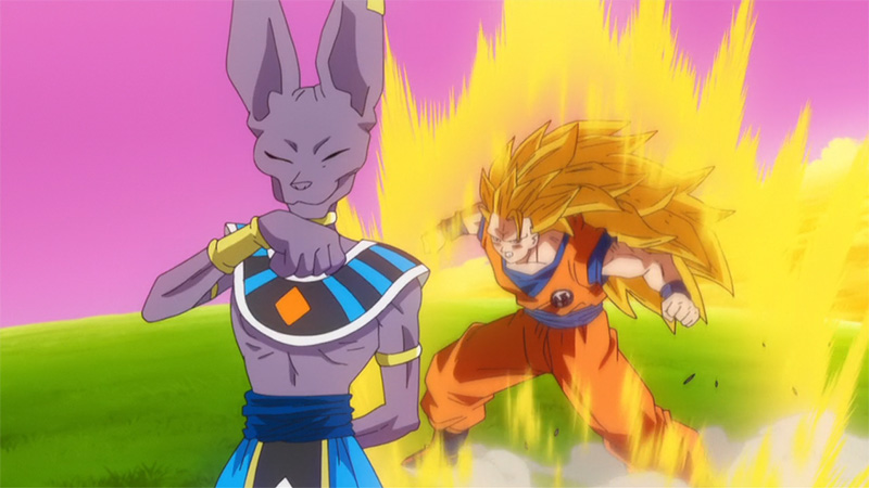 Goku et Beerus.jpg