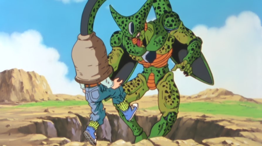 Cell absorbe C17.jpg