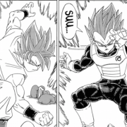Goku et Vegeta en SSJB