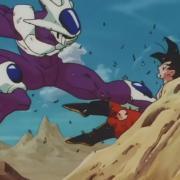Cooler
