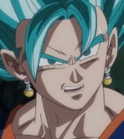 Vegetto SSB