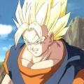 Vegetto